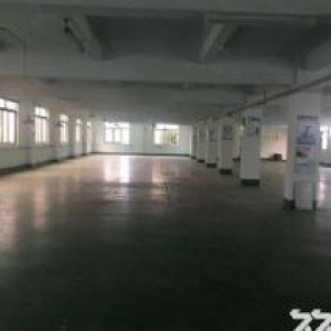 蓬江区汽车总站附近工业园厂房3000平方招租可分租