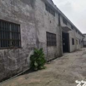 江门蓬江荷塘康溪独院单一层厂房3000平方招租