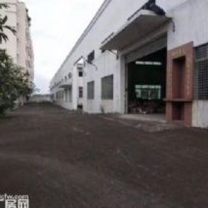 蓬江杜阮龙溪工业区一楼厂房1500平方招租