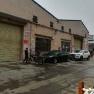 蓬江荷塘马滘桥独院单一层厂房1800平方招租