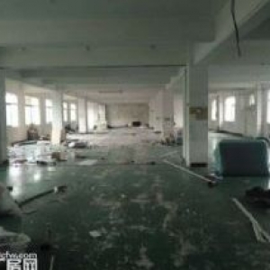 蓬江荷塘近古镇独院电梯厂房1000平方一层出租
