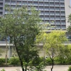鹤山市金泰富大厦全新写字楼大厦出租