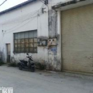 蓬江荷塘一楼小加工厂600平方招租