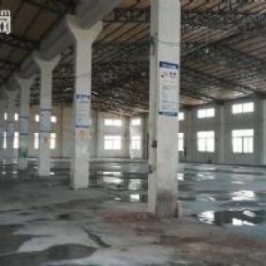 江门蓬江区荷塘镇塔岗工业区经典小独院3600平方