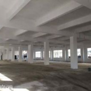 横岗塘坑地铁附近原房东楼上800平厂房出租
