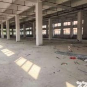 江门台山台城厂房独院工业园一层3000平方厂房仓库出租