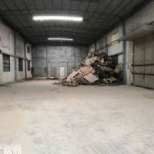 台山台城独院单一层简易厂房450平方招租，4000元一个月