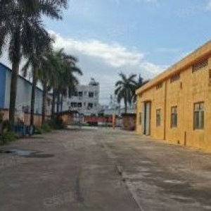 江门蓬江棠下独院单一层厂房仓库出租3800平方，空地约200