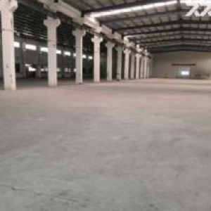 台山工业新城独院单一层厂房1000平方招租
