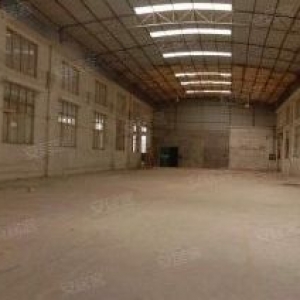 江门新会司前独院工业园厂房30000平方招租，可分栋出租