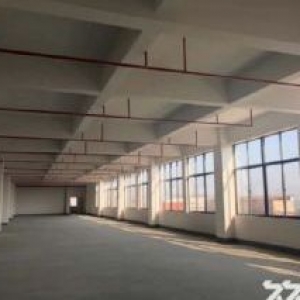 台山工业新城工业园电梯厂方招租，可分租