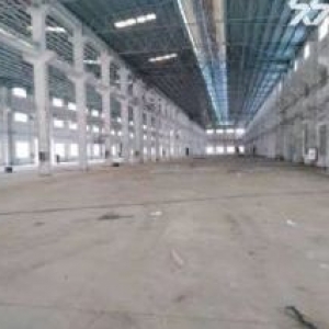 台山适合做五金塑胶，发泡、吹塑厂房5000平方招租
