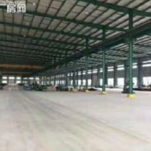 新会工业园区30000平标准钢结构工业厂房出售证件齐全