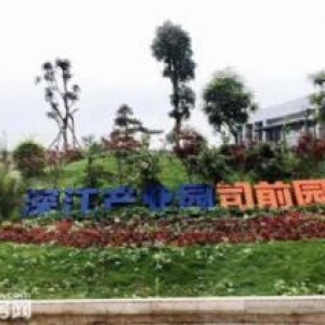 新会厂房现楼！50年独立产权全新厂房，地理位置优越，粤港澳大