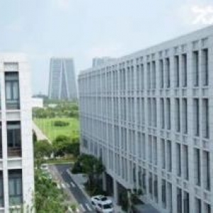 江门蓬江首层8米2400方三层小独栋出售（可按揭、50年产权