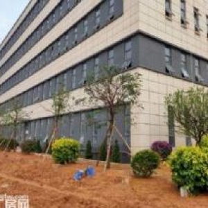 新会司前镇1500㎡独栋厂房出售，首付3成10年按揭