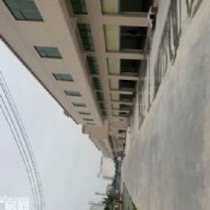 台山市水步镇标准厂房出租