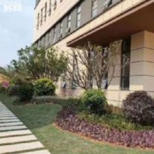 新会司前镇2340㎡独栋厂房出售，首付3成10年按揭