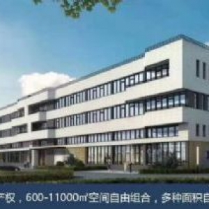 江门核心地块台山工业新城独立产权厂房出售，低至3成首付