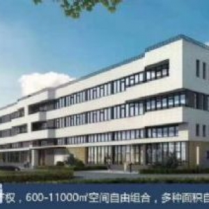 未来趋势，台山工业新城智能装备产业园独立产权厂房出售，可按揭