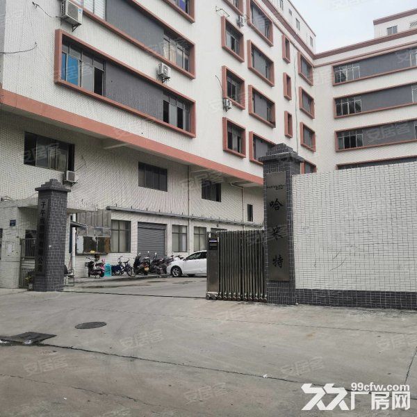 江门蓬江荷塘近古镇独院电梯厂房仓库1000平方一层出租-图2