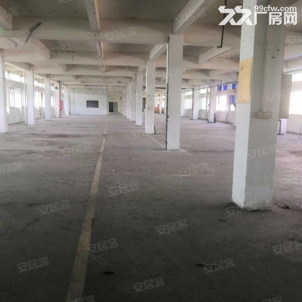 江门蓬江荷塘近古镇独院电梯厂房仓库1000平方一层出租-图3