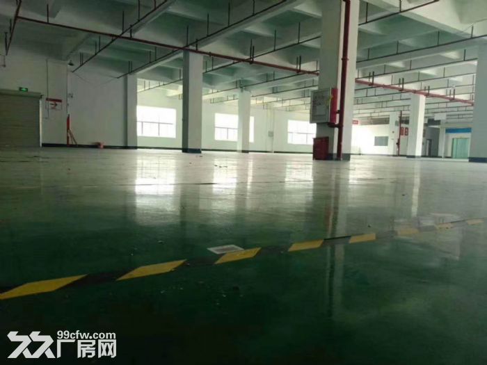 江门蓬江荷塘工业园标准杠架结构厂房1000平方招租，现成装修