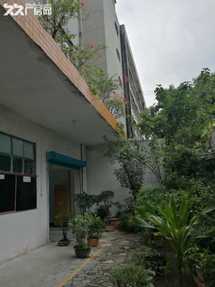 自主出租江海一路六楼带电梯厂房用电按需配置-图2