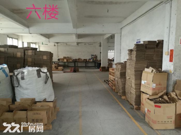 自主出租江海一路六楼带电梯厂房用电按需配置-图5