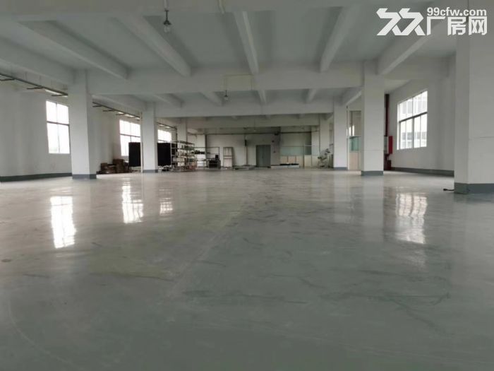 江门杜阮4500方独门独院