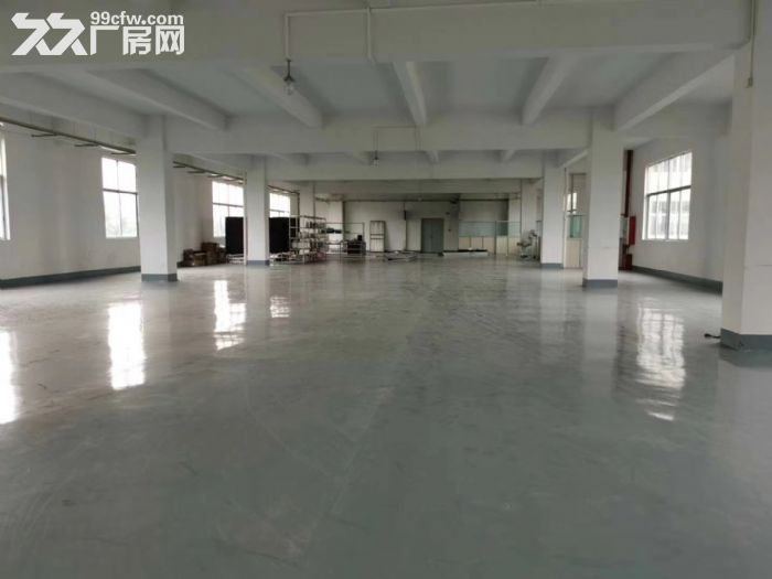 江门杜阮4500方独门独院-图2