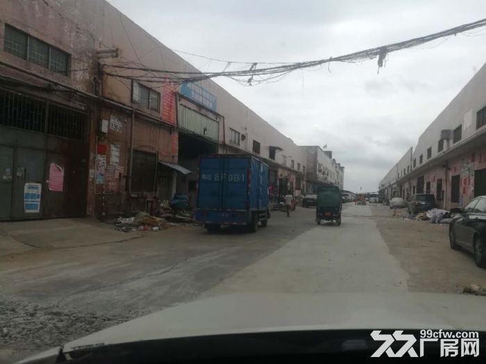 蓬江荷塘霞村工业区1000平方独立单一层钢构厂房仓库招租-图3