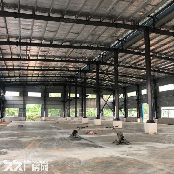 江门台山水步大路边独院单一层钢结构厂房仓库招租1000平方-图5