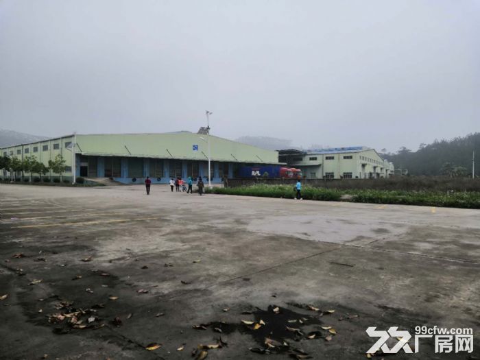 江门台山工业新城独院厂房仓库租售40000平方，空地2万平方-图4