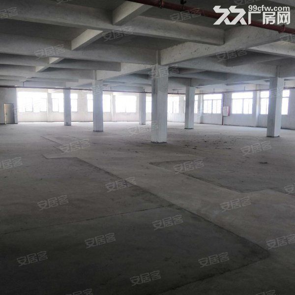 江门蓬江荷塘独院标准框架结构厂房5000平方招租