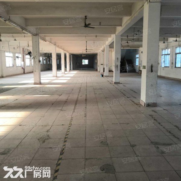 江门蓬江荷塘独院标准框架结构厂房5000平方招租-图2