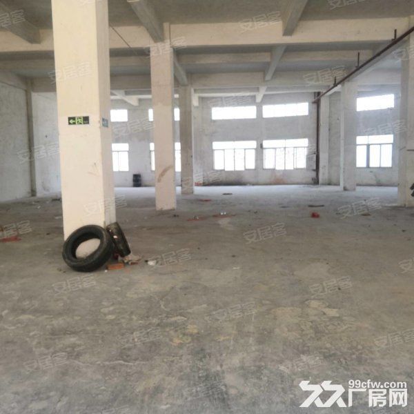 江门蓬江荷塘独院标准框架结构厂房5000平方招租-图4