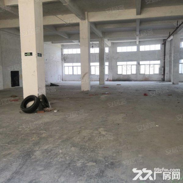 江门蓬江荷塘独院标准框架结构厂房5000平方招租-图5