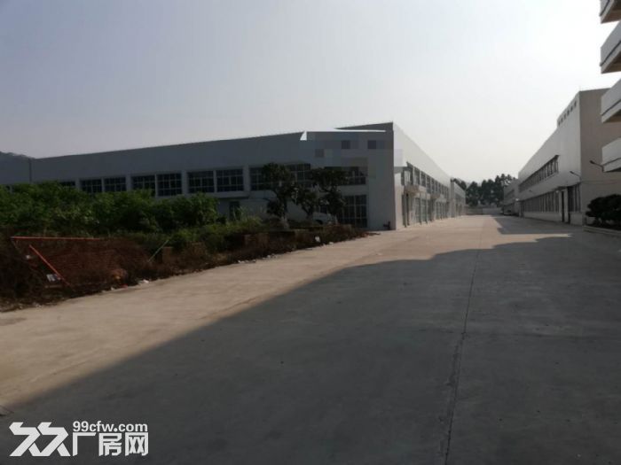 江门蓬江杜阮独院单一层钢构厂房3000平方招租