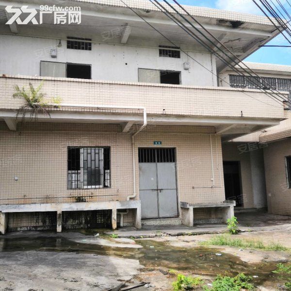 江门蓬江荷塘独院单一层二类地工业厂房仓库1500平方招租