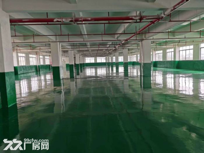 蓬江荷塘形像好电梯厂房1500方出租
