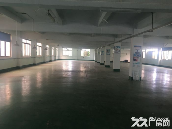 蓬江区汽车总站附近工业园厂房3000平方招租可分租