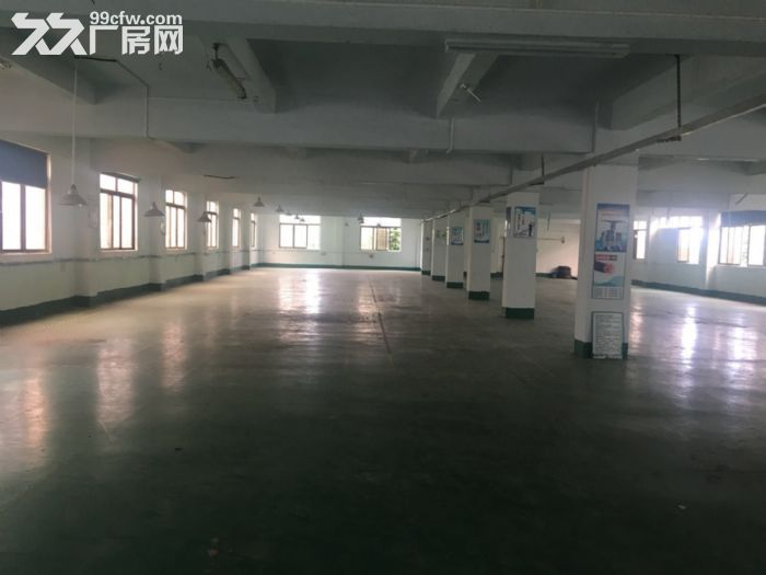 蓬江区汽车总站附近工业园厂房3000平方招租可分租-图4