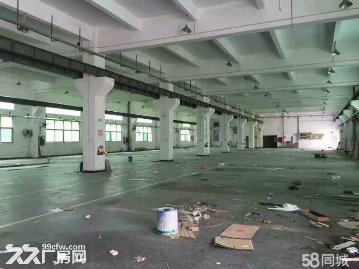 大田洋一楼1500平米高度5米台湾厂转租