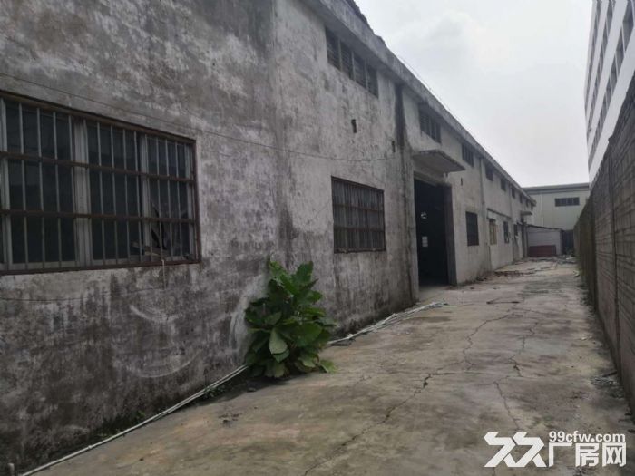 江门蓬江荷塘康溪独院单一层厂房3000平方招租