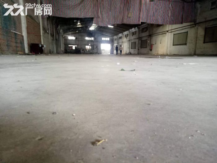 江门蓬江荷塘康溪独院单一层厂房3000平方招租-图4