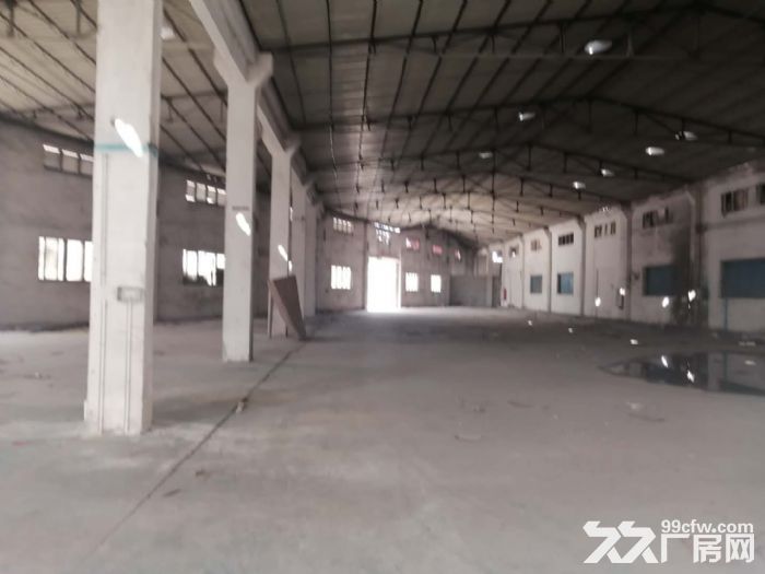 江门蓬江荷塘康溪独院单一层厂房3000平方招租-图6