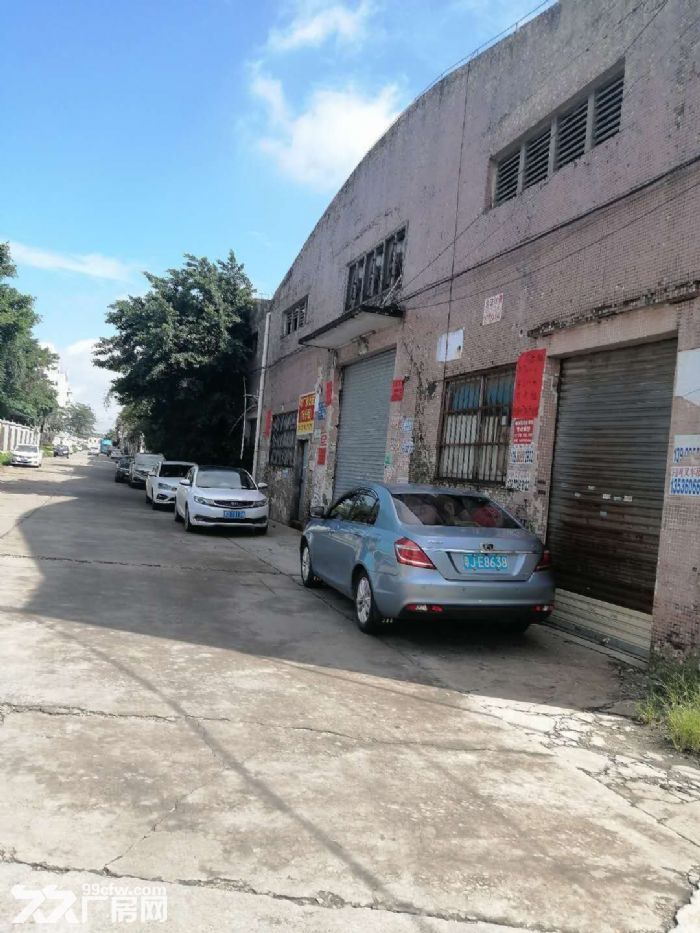 江门蓬江荷塘康溪独院单一层厂房3000平方招租-图7