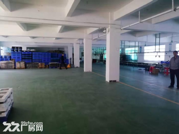 台山工业新城一楼标准厂房880平方招租-图2