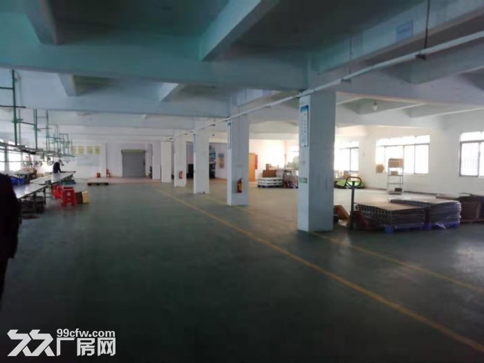 台山工业新城一楼标准厂房880平方招租-图3